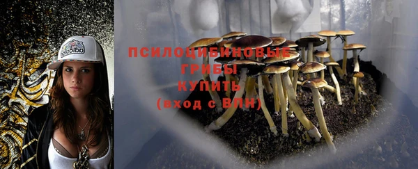 твердый Волоколамск