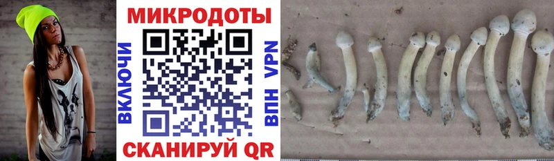 Галлюциногенные грибы прущие грибы  Березники 