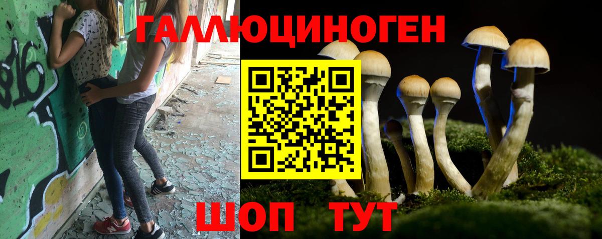 Псилоцибиновые грибы MAGIC MUSHROOMS Березники